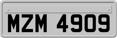 MZM4909