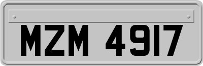 MZM4917
