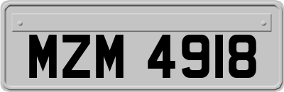 MZM4918