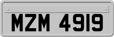 MZM4919