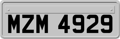 MZM4929