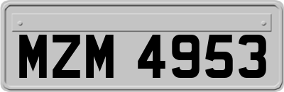 MZM4953