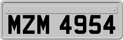 MZM4954