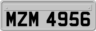 MZM4956