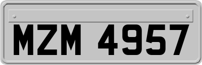 MZM4957