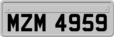 MZM4959