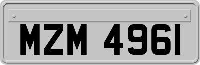 MZM4961