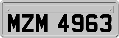 MZM4963