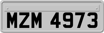 MZM4973
