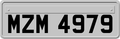 MZM4979