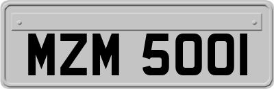 MZM5001