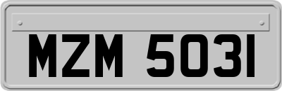 MZM5031
