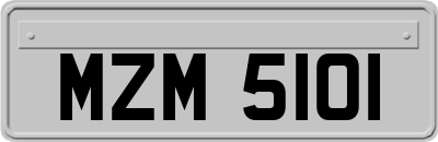 MZM5101