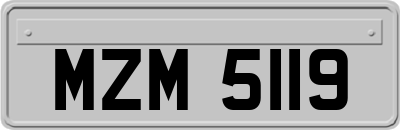 MZM5119