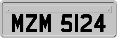 MZM5124