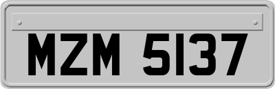 MZM5137