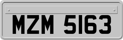 MZM5163
