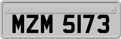 MZM5173