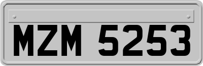 MZM5253