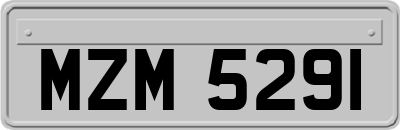MZM5291