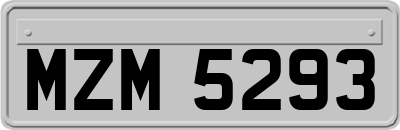 MZM5293