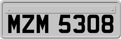 MZM5308