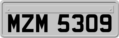 MZM5309