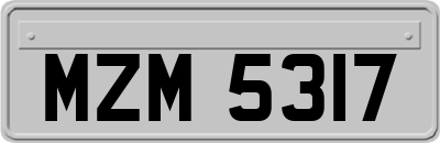 MZM5317