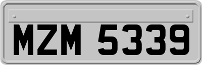 MZM5339