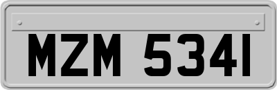 MZM5341