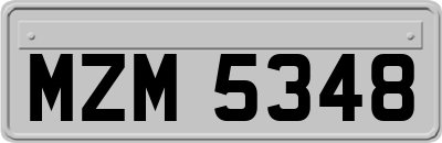 MZM5348