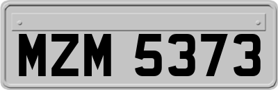 MZM5373