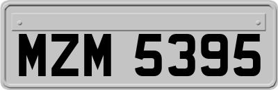 MZM5395