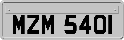 MZM5401