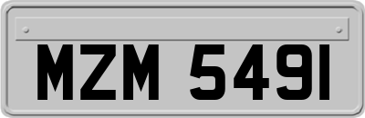 MZM5491