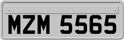 MZM5565