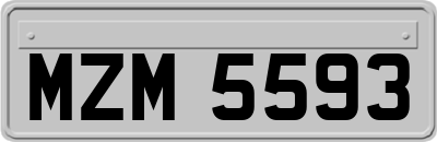 MZM5593