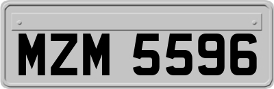 MZM5596