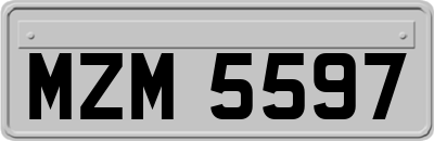 MZM5597