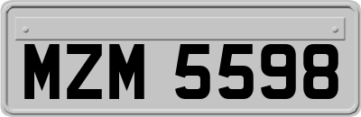 MZM5598