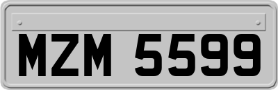 MZM5599