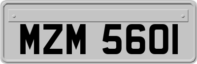 MZM5601