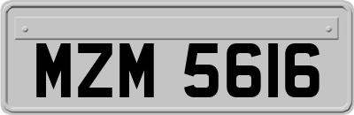 MZM5616