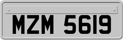 MZM5619