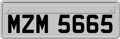 MZM5665