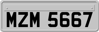 MZM5667