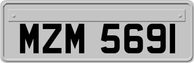 MZM5691