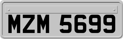 MZM5699