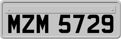 MZM5729