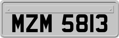 MZM5813